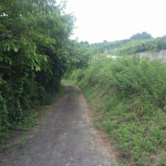 お盆休み明け最初の作業はラベンダー畑に入る農道の草刈り作業から