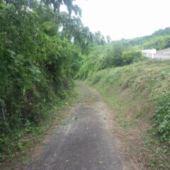 この先にはナードのラベンダー畑しか無いため直ぐに草や木の枝が伸びてしまいます