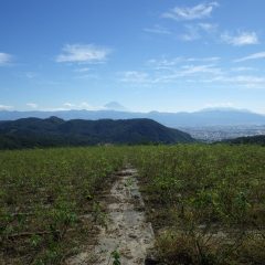 秋晴れが続いているローズ畑