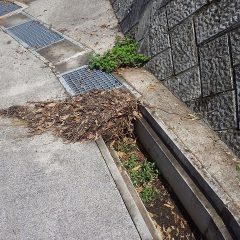 農道脇の排水溝が落ち葉や泥で詰まってしまい道路に雨水が流れ出していました