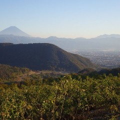 そして今日も日が暮れてゆくのでした