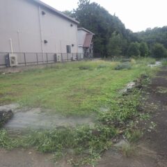 事務局横の畑も草刈り作業をしました