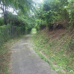 本日の草刈り作業終了です