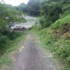 何とかラベンダー畑までの草刈り作業終了