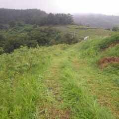 小雨の降る中で大急ぎで草刈り作業をしました