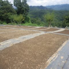 整地作業が終わり種蒔きの準備完了