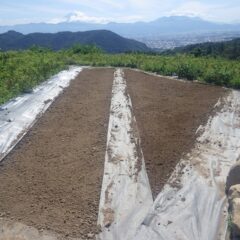 整地作業終了
