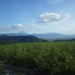 作業終了時には雲も切れて富士山が綺麗に見えました