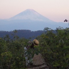 夕方になると一気に気温が下がります