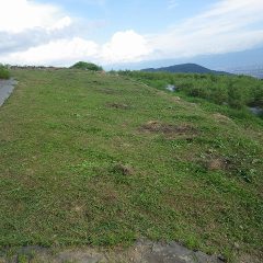今日は作業終了まで晴れ間が続いてくれたのでカモマイル・ジャーマン畑の草刈り作業完了