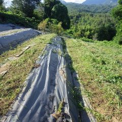 草刈り作業終了