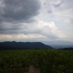 午後になり急に気温が上がった為か雷鳴と共に暗雲が立ち込め始めました