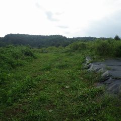 ポツポツと小雨が降る中でここまで作業して終了