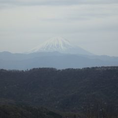 富士山が霞んで見えました