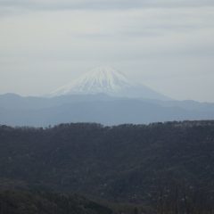 富士山が霞んで見えました