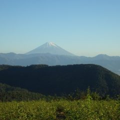 穏やかな秋の一日