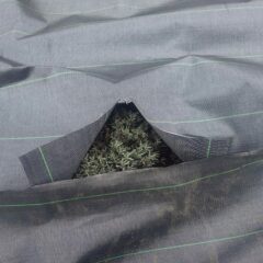 雑草が凄いのでラベンダーを包むように張って行きます