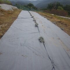 2枚目の防草シートを張り終わりました