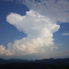 お昼過ぎには入道雲が現れて雷鳴が轟き始めした