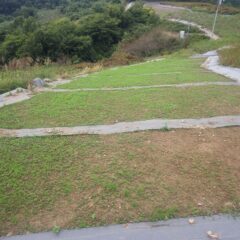 日当たりの良い傾斜畑、緑が濃くなっています