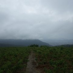 昼過ぎには霧雨が降って来ました