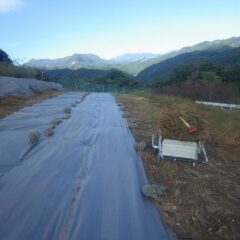 刈った草の片付け作業終了