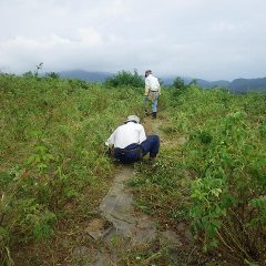 今日も時間いっぱいまで除草作業は続けられました