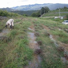 今日も時間いっぱいまで除草作業は続けられました