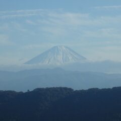 冠雪