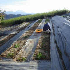 日が傾いてくると急激に気温が下がって冬になった事を実感します