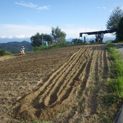 秋の種蒔き準備が着々と進んでいます