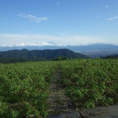 作業が終わる頃、雲の合間から富士山が姿を見せてくれました