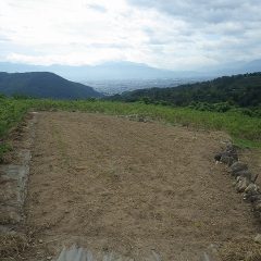 秋の種蒔き準備が着々と進んでいます