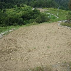 月末には種蒔きを始める予定です