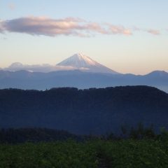 作業を終えると夕陽に富士山が照らされていました