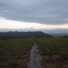 作業が終わると厚い雲が張り出して来ました