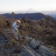 夕方まで作業は続きます