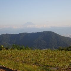 作業が終わった黄昏時になると富士山が姿を見せてくれました