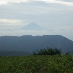 今朝のローズ畑には水墨画の様な富士山が現れました