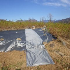 通路の防草シートを張って作業完了