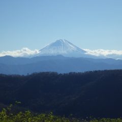 冬晴れで農場から富士山が綺麗に見えました