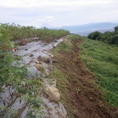 除草作業終了