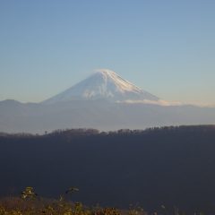 風強し