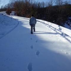 膝下まで埋まる雪の中を徒歩で農場を目指します