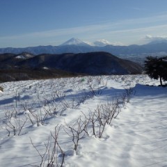 大雪原