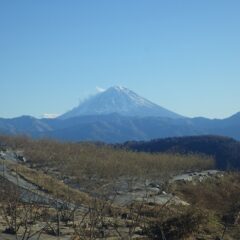 ローズ畑から見える富士山は雪煙を巻き上げています