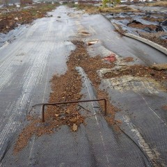 霜柱の力で押し上げられた通路を止めていたピン