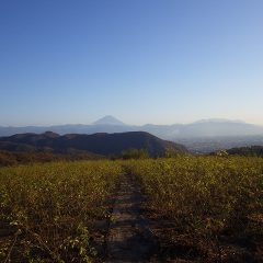 夕暮れの時間が日毎に早くなって来た事を感じる瞬間です