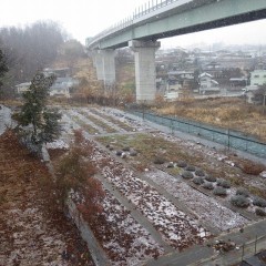 2月3日は節分で暦の上では冬と春を分ける日ですが2月1日は朝から雪が降っています