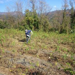 そして今日も除草作業が行われています
